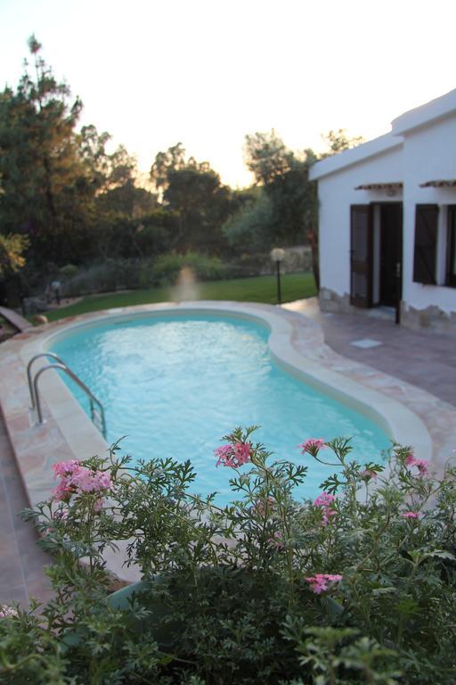 Bed and Breakfast Alma Torre delle Stelle Exterior foto